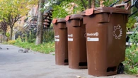 Are Montrealers actually using their compost bins?