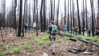 Last year's wildfire uncovered a new side to Jasper. Locals and visitors alike are taking note