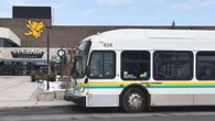 St. Clair College says transit delays possible as 200 support staff strike