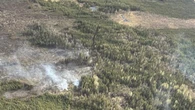 Warm, dry weather stoking 11 wildfires near Fort Nelson left over from last year
