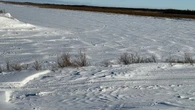 Kashechewan First Nation declares full-scale evacuation due to flooding risk