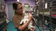 Thunder Bay humane society, Ontario SPCA merge to enhance support for animals and their owners
