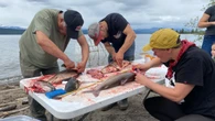 Annual salmon ceremony and gathering keeps stories and traditions alive in Teslin, Yukon