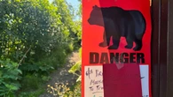 Anchorage warns hikers after 2 bear attacks in a week