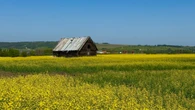 Part of northeast B.C. back to 'abnormally dry,' with long drought recovery expected