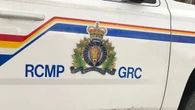 34-year-old woman dies in highway moose collision near Gander