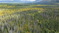 Haines Junction, Yukon, wants the next government to fund community emergency planning