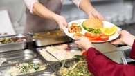 No school lunch program this year, despite Holt election promise