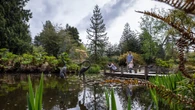 Vancouver's VanDusen Botanical Garden celebrates 50th anniversary