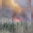 Manitoba premier, emergency officials to deliver wildfire update after 2 people trapped by flames die