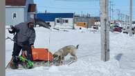 This Coral Harbour, Nunavut, man travels by dog sled to fix the local phone lines