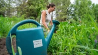 Community garden at Confederation College receives $6,500 grant
