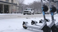 Sask. spring snowstorm persists, traveller reports dozens of semis backed-up on Highway 11