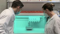 Hopes of fatherhood: UBC scientists on frontier of high-tech male infertility research