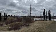 Calgary continues efforts to plant nearly a million trees, and better balance local canopy