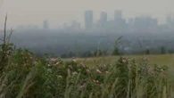 Wildfire smoke carries short- and long-term health risks, Alberta experts warn