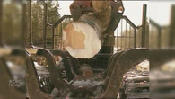 N.S. Natural Resources swamped with requests for permits to work in the woods