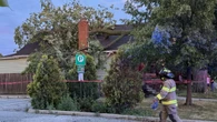 High winds down trees, sudden storms knock out power in southwestern Ontario