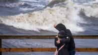 Heavy rain, strong winds prompt weather warnings for B.C.'s South Coast