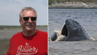Thar she blows! Visitors flock to St. Vincent's, N.L., for whale spectacular