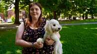 Ottawa woman reunited with stolen dog