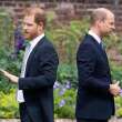 The rift between Prince Harry and Prince William casts a long shadow