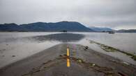 Nearly half of landslides during B.C. weather disaster linked to logging, wildfire: study