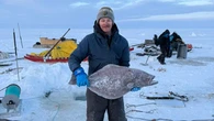 Southern business buys its 1st batch of turbot from Clyde River, Nunavut