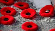 Royal Canadian Legion making headway combatting poppy trademark violations