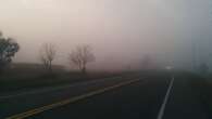 Fog takes school buses off the roads in Essex County for 2nd straight day