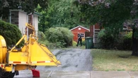 Man dead after being struck by tree in Dorval, Que.