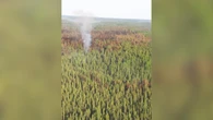 Heat warnings, special air quality statements issued across northwestern Ontario
