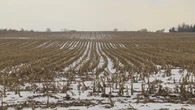 Pickering council approves controversial outline to develop rural lands in city’s northeast end
