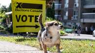 Voters head to the polls in 2 federal byelections that will be closely watched on Parliament Hill