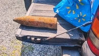 Bell Island fishermen went out for lobster, but caught an 'apparent' artillery shell