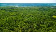 Patch of pristine bush in central Alberta donated to become nature preserve