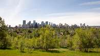 Calgary arborists concerned about city's trees as dryness continues, water restrictions loom