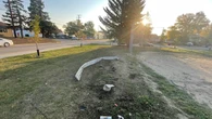 Watchdog clears Saskatoon officers in arrest where police dog seriously injured man