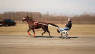 Horse-racing community looks to keep Ottawa's track alive