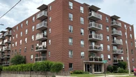 Boy, 7, falls from third-storey apartment of St. Catharines, Ont., building and survives, police say