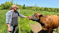 Nova Scotia farms were in the red last year — again