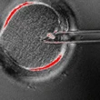 8 babies born with experimental 3-parent IVF technique