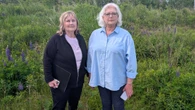 Stratford townhouse proposal would be destructive to wetland, nearby residents warn