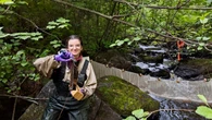 What fish in northwestern Ontario reveal about the impact of climate change, forestry