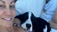 B.C. pet owner warns of blue-green algae dangers following dog's death