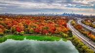 Fall colours could come early, end faster in Ontario due to summer flash floods, experts say