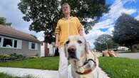 Guide dog owner says Louie may be her last unless behaviour of 'service dogs' changes