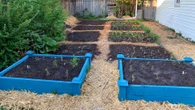 Want to try homesteading? Consider the 'brutal reality' of self-sufficiency, says expert