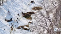 Fate of remaining deer, elk at closed Marineland in Niagara Falls, Ont., still uncertain
