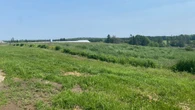 'No happy medium': Cape Breton farms adapt to weather extremes